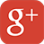 Google+