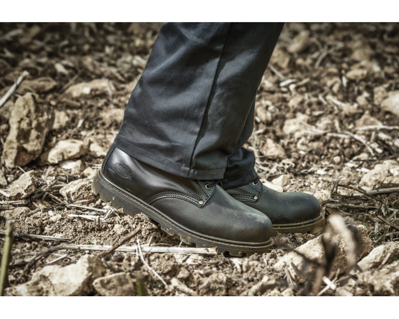 dickies cleveland boot